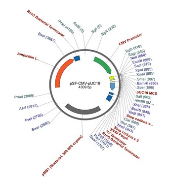 PSF-CMV-PUC19 - CMV PUC19 MCS PLASMID plasmid vector for molecular cloning