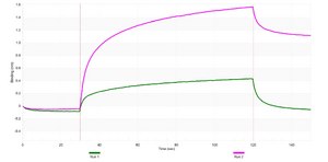 Anti-DLX2 Antibody, clone 1C4 ZooMAb® Rabbit Monoclonal recombinant, expressed in HEK 293 cells