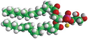 Soy PG Avanti Research™ - A Croda Brand 841148C