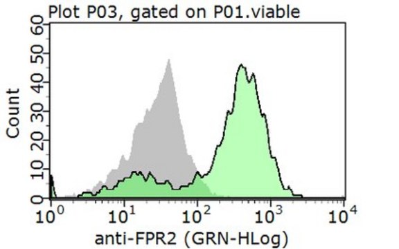 Anti-FPR2 Antibody from rabbit, purified by affinity chromatography