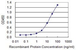 Monoclonal Anti-TFDP1 antibody produced in mouse clone 3E4, purified immunoglobulin, buffered aqueous solution