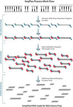 SeqPlex DNA扩增试剂盒 For use with high throughput sequencing technologies, Whole Genome Amplification kit designed to facilitate Next Gen Sequencing.