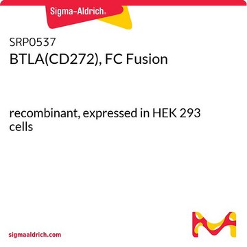 BTLA(CD272), FC Fusion recombinant, expressed in HEK 293 cells