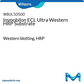 Immobilon ECL Ultra Western HRP底物 Western blotting, HRP