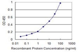 Monoclonal Anti-ATP6V0D2 antibody produced in mouse clone 7A4, purified immunoglobulin, buffered aqueous solution