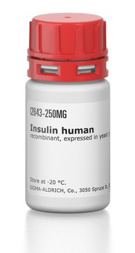 Insulin human recombinant, expressed in yeast (proprietary host)