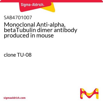 Monoclonal Anti-alpha, betaTubulin dimer antibody produced in mouse clone TU-08