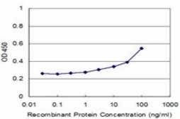 Monoclonal Anti-UGT2B4 antibody produced in mouse clone 2H6, purified immunoglobulin, buffered aqueous solution