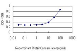 Monoclonal Anti-TBX6 antibody produced in mouse clone 2D11, purified immunoglobulin, buffered aqueous solution