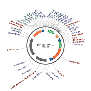 PSF-TEFI-TPI1-HYGRO - HYGROMYCIN RESISTANT YEAST PLASMID plasmid vector for molecular cloning