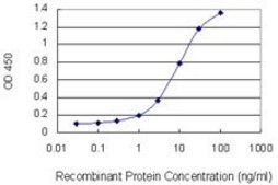 Monoclonal Anti-KRT10 antibody produced in mouse clone 1H6, purified immunoglobulin, buffered aqueous solution