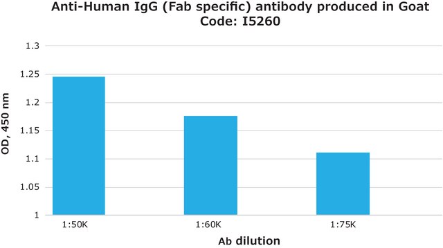 Anti-Human IgG (Fab specific) antibody produced in goat affinity isolated antibody, buffered aqueous solution