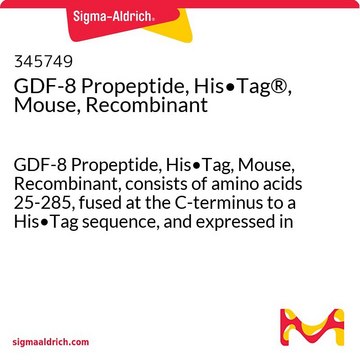 GDF-8 Propeptide, His&#8226;Tag&#174;, Mouse, Recombinant GDF-8 Propeptide, His&#8226;Tag, Mouse, Recombinant, consists of amino acids 25-285, fused at the C-terminus to a His&#8226;Tag sequence, and expressed in NS0-derived mouse myeloma cells.