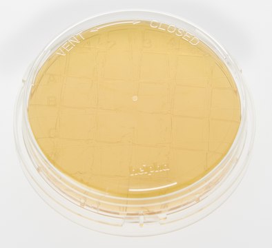 Tryptic Soy Agar with Lecithin, Tween&#174;, Histidine and Sodium thiosulphate, ICR+ Contact plate, irradiated, triple packed, for environmental monitoring (Isolator and Clean room)