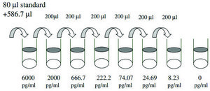 Human IGFBP-2 ELISA Kit for serum, plasma, cell culture supernatant and urine