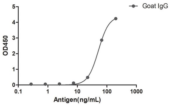 Alpaca Anti-Goat IgG(Fc&#947;) Biotin single domain Antibody recombinant Alpaca(VHH) Nano antibody