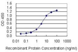 Monoclonal Anti-OTUD6B antibody produced in mouse clone 3H4, purified immunoglobulin