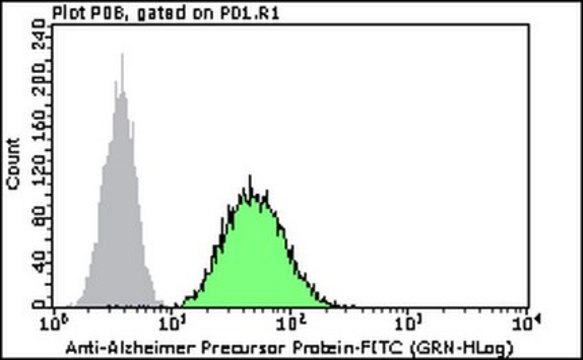 Anti-Alzheimer Precursor Protein A4 (NT)-FITC Antibody, clone 22C11 clone 22C11, Milli-Mark&#174;, from mouse