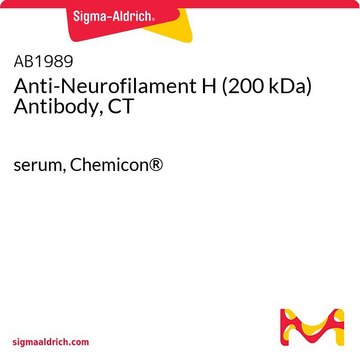 抗神经丝H（200 kDa）抗体，CT serum, Chemicon&#174;