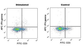 Anti-Mouse IFN-γ (XMG1.2) ColorWheel® Dye-Ready mAb for use with ColorWheel® Dyes (Required, (Sold Separately))