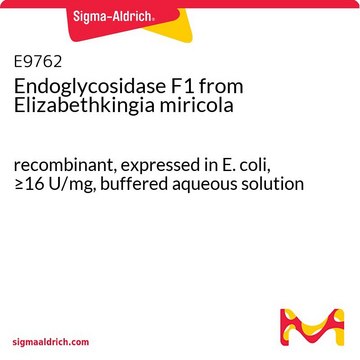 Endoglycosidase F1 from Elizabethkingia miricola recombinant, expressed in E. coli, &#8805;16&#160;U/mg, buffered aqueous solution