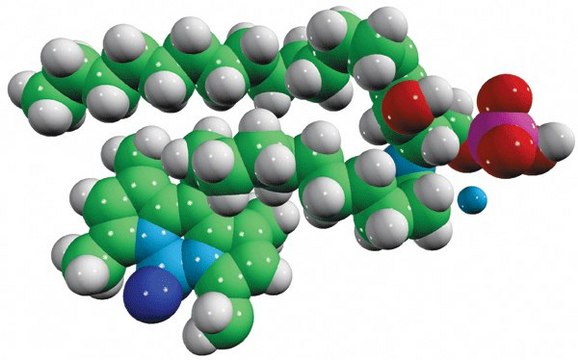 C11 TopFluor&#8482; Ceramide-1-Phosphate N-[11-(dipyrrometheneboron difluoride)undecanoyl]-D-erythro-sphingosine-1-phosphate (ammonium salt), powder