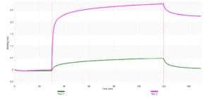 Anti-CTH Antibody, clone 2F12 ZooMAb® Rabbit Monoclonal recombinant, expressed in HEK 293 cells