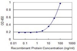 Monoclonal Anti-EIF3S2, (C-terminal) antibody produced in mouse clone 3B10, purified immunoglobulin, buffered aqueous solution