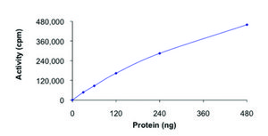 CDK1/CyclinA1, active, GST tagged human PRECISIO® Kinase, recombinant, expressed in baculovirus infected Sf9 cells, ≥70% (SDS-PAGE), buffered aqueous glycerol solution