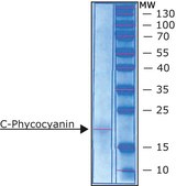 C-Phycocyanin from Spirulina sp. lyophilized powder