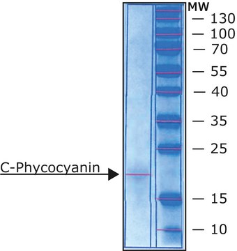 C-Phycocyanin from Spirulina sp. lyophilized powder