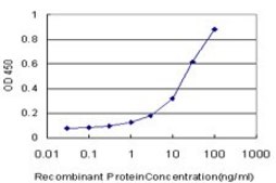 Monoclonal Anti-MARCH6 antibody produced in mouse clone 2F7, purified immunoglobulin, buffered aqueous solution