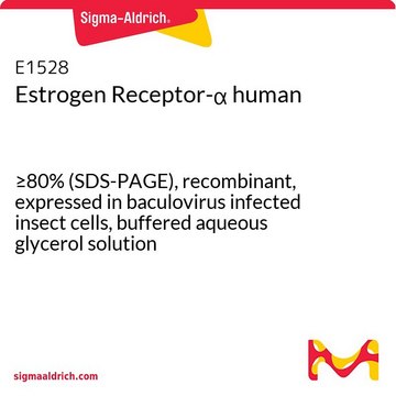 Estrogen Receptor-&#945; human &#8805;80% (SDS-PAGE), recombinant, expressed in baculovirus infected insect cells, buffered aqueous glycerol solution