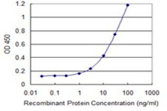 Monoclonal Anti-CLDN12 antibody produced in mouse clone 2D8, purified immunoglobulin, buffered aqueous solution