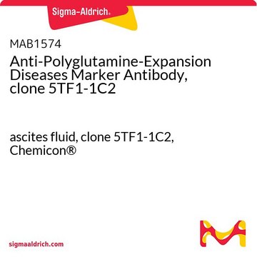 抗聚谷氨酰胺扩展疾病标志物抗体，克隆5TF1-1C2 ascites fluid, clone 5TF1-1C2, Chemicon&#174;