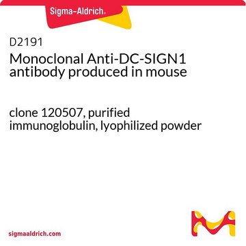 抗-DC-SIGN1单克隆抗体 小鼠抗 clone 120507, purified immunoglobulin, lyophilized powder