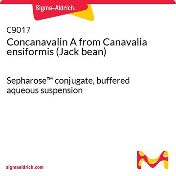 伴刀豆球蛋白A 来源于洋刀豆 （刀豆） Sepharose&#8482; conjugate, buffered aqueous suspension