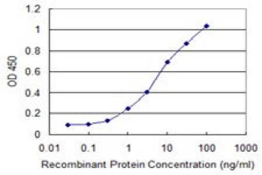 Monoclonal Anti-UBASH3A antibody produced in mouse clone 1G6, purified immunoglobulin, buffered aqueous solution