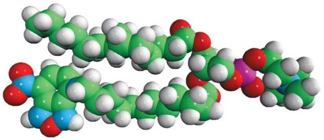 14:0-12:0 NBD PC Avanti Polar Lipids 810123P, powder