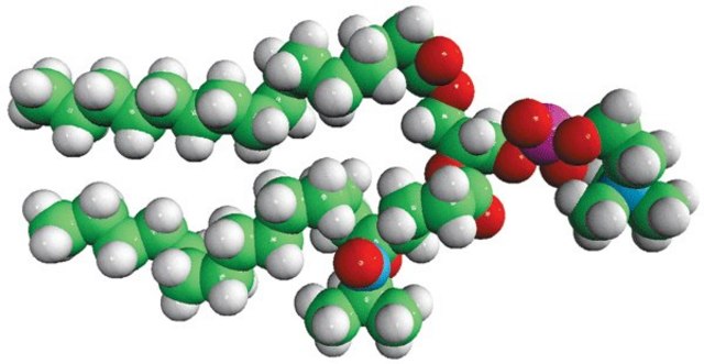 16:0-5 Doxyl PC Avanti Polar Lipids 810601P, powder