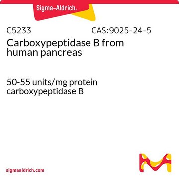 羧肽酶&#160;B 来源于人类胰腺 50-55&#160;units/mg protein carboxypeptidase B