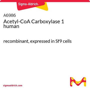 Acetyl-CoA Carboxylase 1 human recombinant, expressed in Sf9 cells