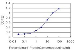 Monoclonal Anti-PCDHB3 antibody produced in mouse clone 4F6, purified immunoglobulin, buffered aqueous solution