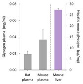 Glycogen Assay Kit sufficient for 100 colorimetric&nbsp;or&nbsp;fluorometric&nbsp;tests