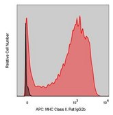 Anti-Mouse MHC II (M5/114.15.2) ColorWheel® Dye-Ready mAb for use with ColorWheel® Dyes (Required, (Sold Separately))