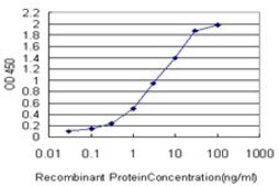 Monoclonal Anti-ING1 antibody produced in mouse clone 2F9, purified immunoglobulin, buffered aqueous solution