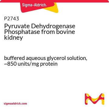 Pyruvate Dehydrogenase Phosphatase from bovine kidney buffered aqueous glycerol solution, ~850&#160;units/mg protein