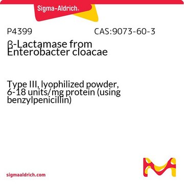 &#946;-内酰胺酶 来源于阴沟肠杆菌 Type III, lyophilized powder, 6-18&#160;units/mg protein (using benzylpenicillin)