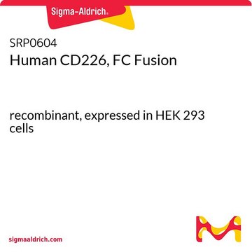 Human CD226, FC Fusion recombinant, expressed in HEK 293 cells