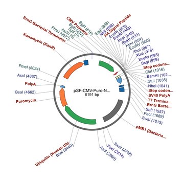 PSF-CMV-PURO-NH2-HA/SP - INFLUENZA HA SECRETION PLASMID plasmid vector for molecular cloning